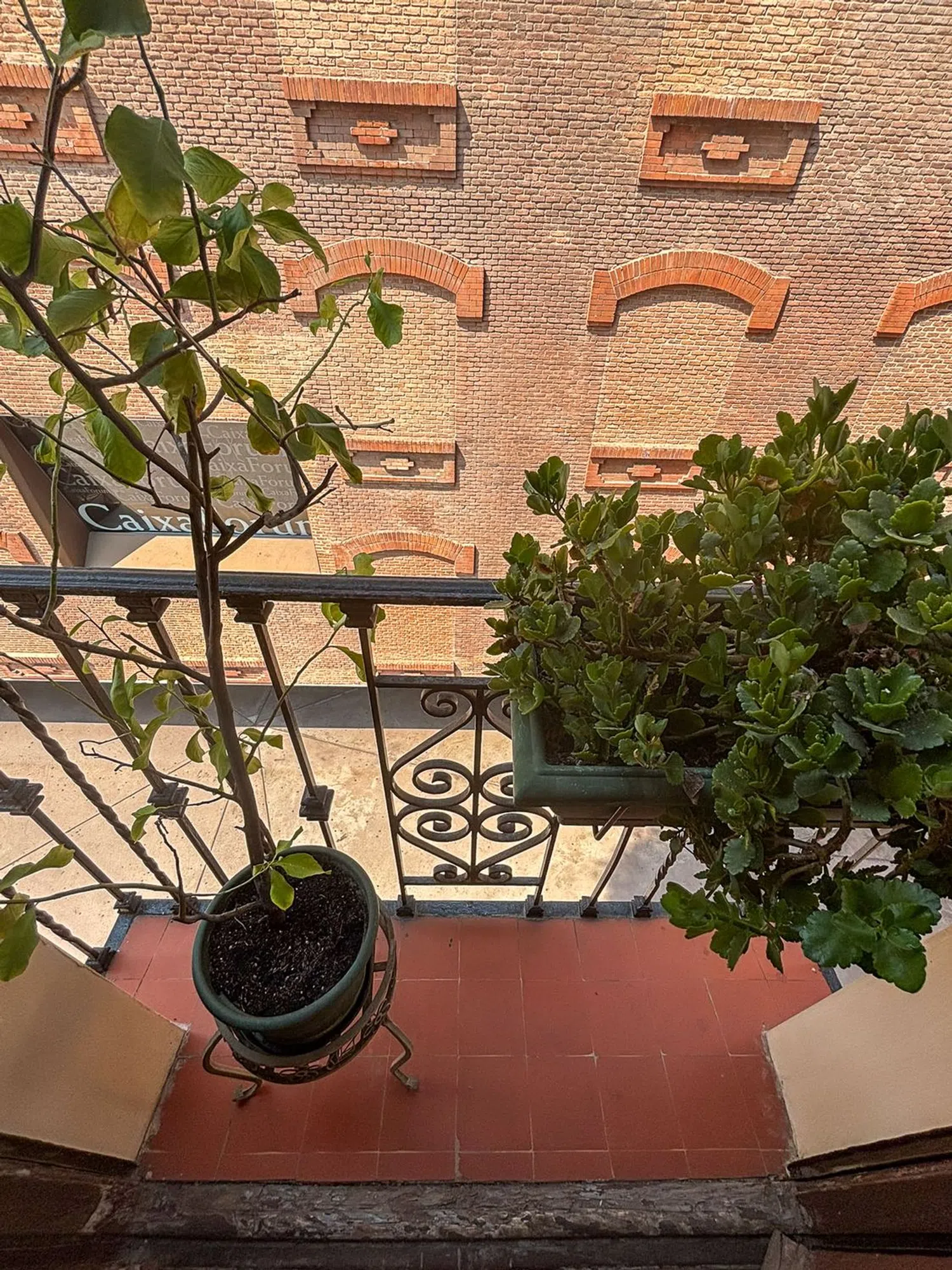 Piso en paseo del Prado, 34 - Foto 14