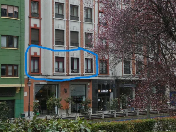 Piso en Calle de la Independencia, 22, Parque San Francisco-Uría - Foto 1