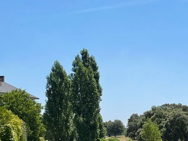 Piso en Calle Isaac Albéniz, 87, Golf - El Carralero - Foto 19