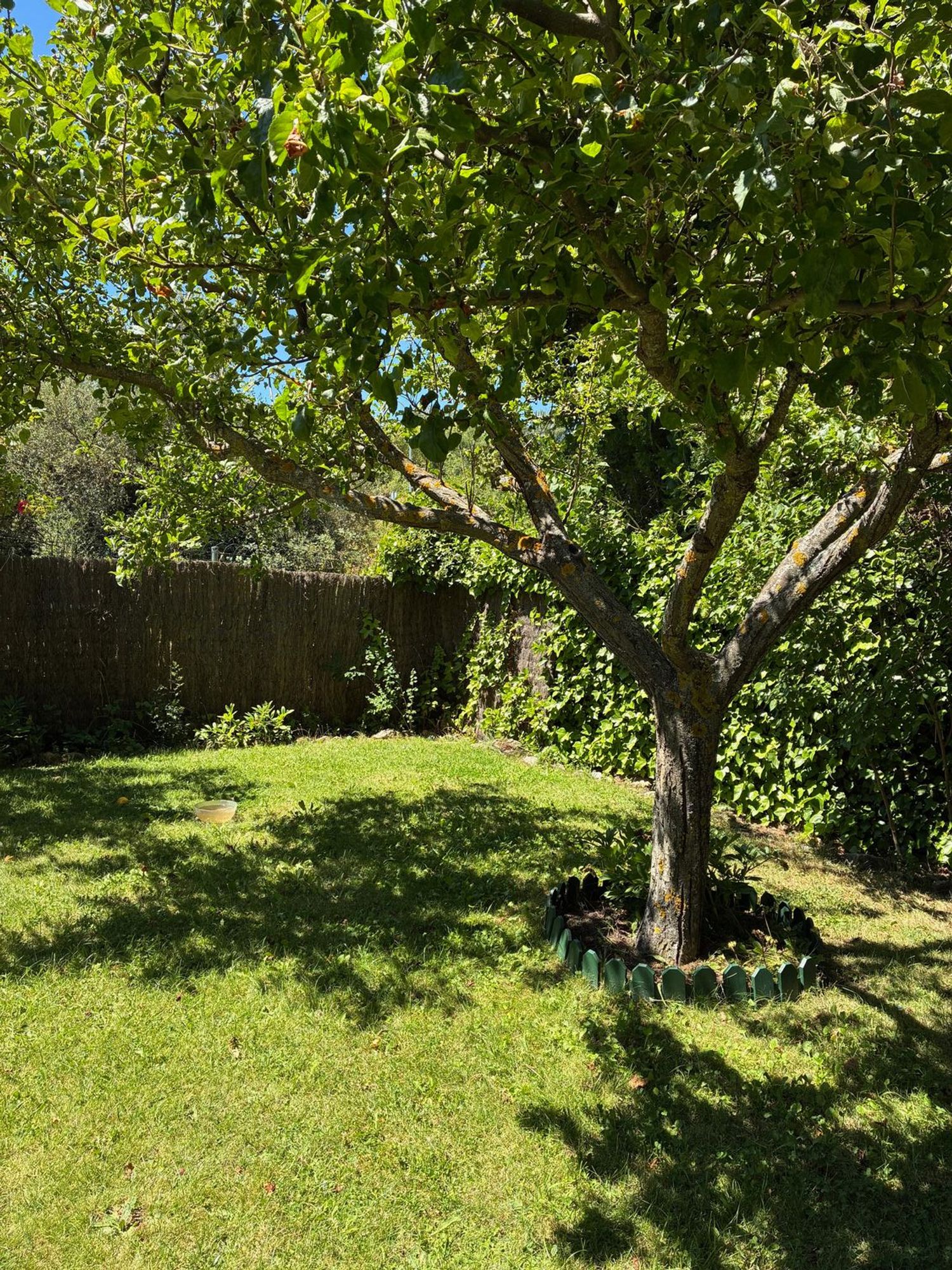 Chalet pareado en Calle Antílope, 4, San Rafael, San Rafael - Foto 5