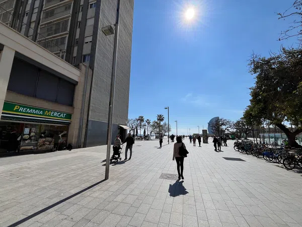 Piso en Barrio La Barceloneta - Foto 14