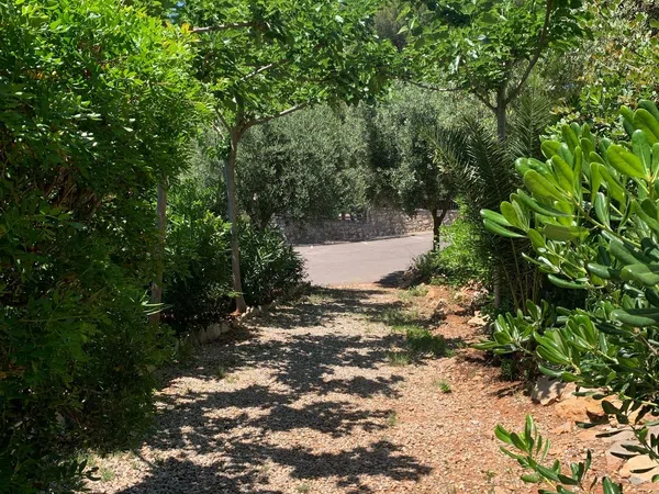 Chalet adosado en Plaza Pobla Montornes, 2, Montornes - Las Palmas - El Refugio, Montornes - Las Palmas - El Refugio - Foto 24