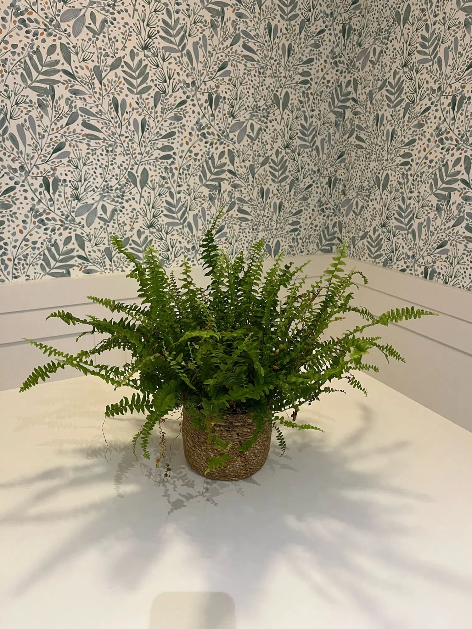 Piso en calle de José Ortega y Gasset, 14 - Foto 3