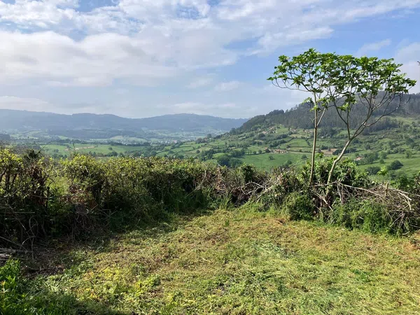 Casa de pueblo en Cayao, Coro s/n - Foto 13