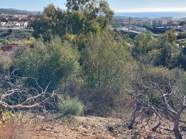 Terreno en  Urbanización Montaña Marbella Club 2 - Foto 4
