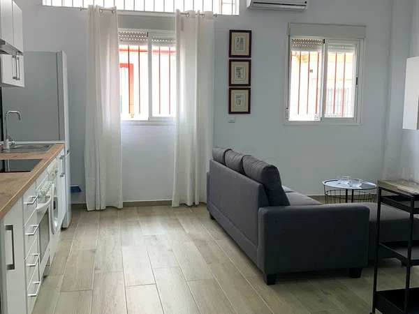 Estudio en Calle Martín Ruiz, 65 - Foto 9