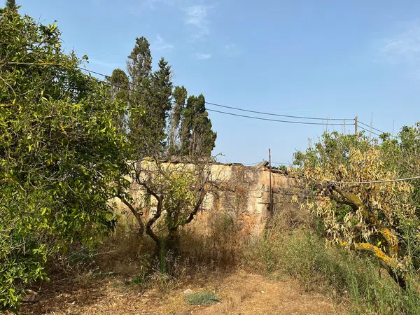 Casa o chalet independiente en Poligono 7, 328 Parcela, Zona periurbana, Zona periurbana - Foto 14
