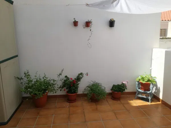 Piso en Camino del Colmenar, 17 b, Olletas - Sierra Blanquilla - Foto 7