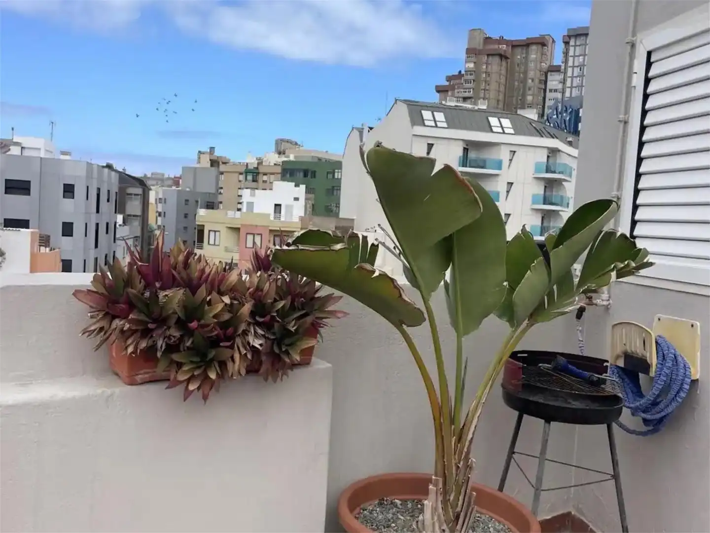 Ático en  Calle Vergara 23 - Foto 4