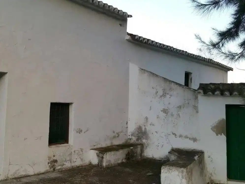 Finca rústica en  Camino de Gibralgalia 1 - Foto 8
