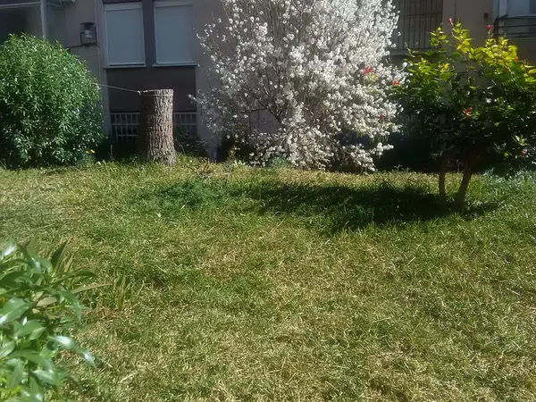 Piso en calle Benimantell, 16 - Foto 10