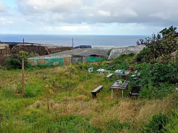 Chalet adosado en calle Juan Fernández, 33 - Foto 18