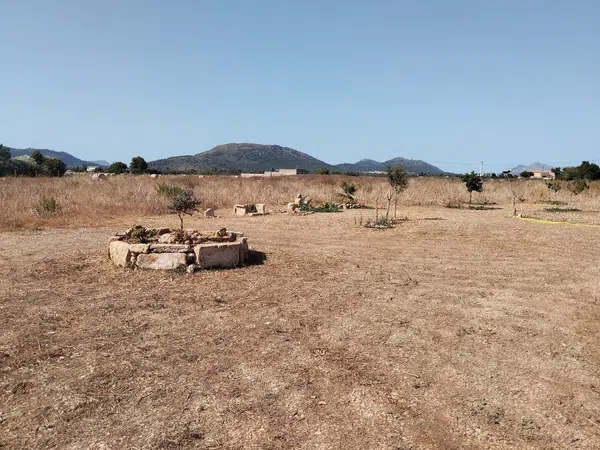 Finca rústica en Sa Pobla s/n - Foto 16