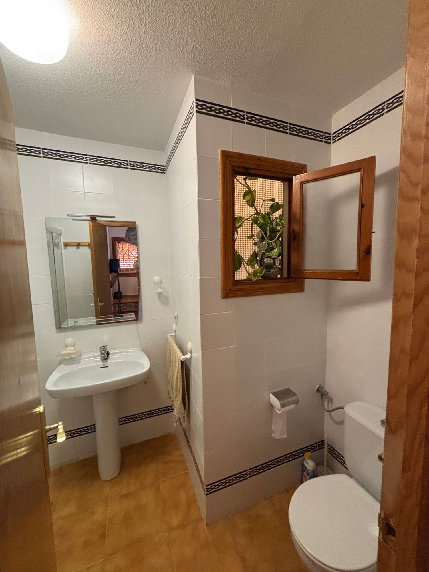 Chalet pareado en Calle Islas Canarias, 4, Arenales del Sol, Arenales del Sol - Foto 20