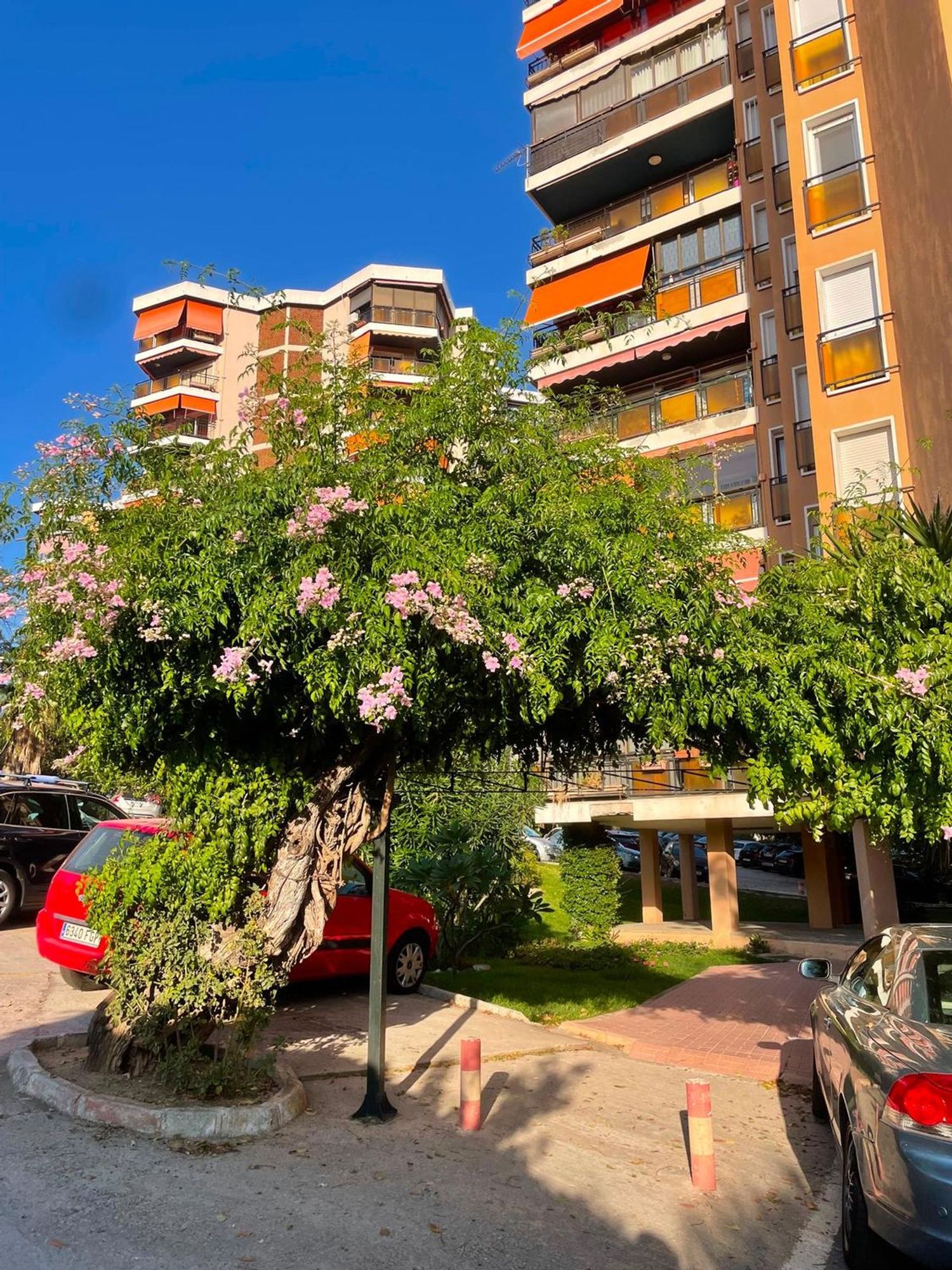 Piso en Avenida San Isidro, 8, Pinares de San Antón - Foto 3