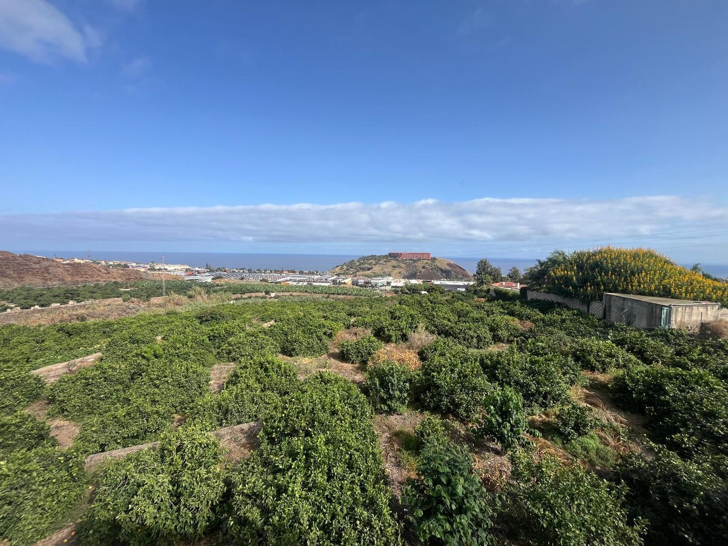 Ático en Finca las candias, 38312 La Orotava, Santa Cruz de Tenerife, La Perdoma - San Antonio - Benijos, La Perdoma - San Antonio - Benijos - Foto 10
