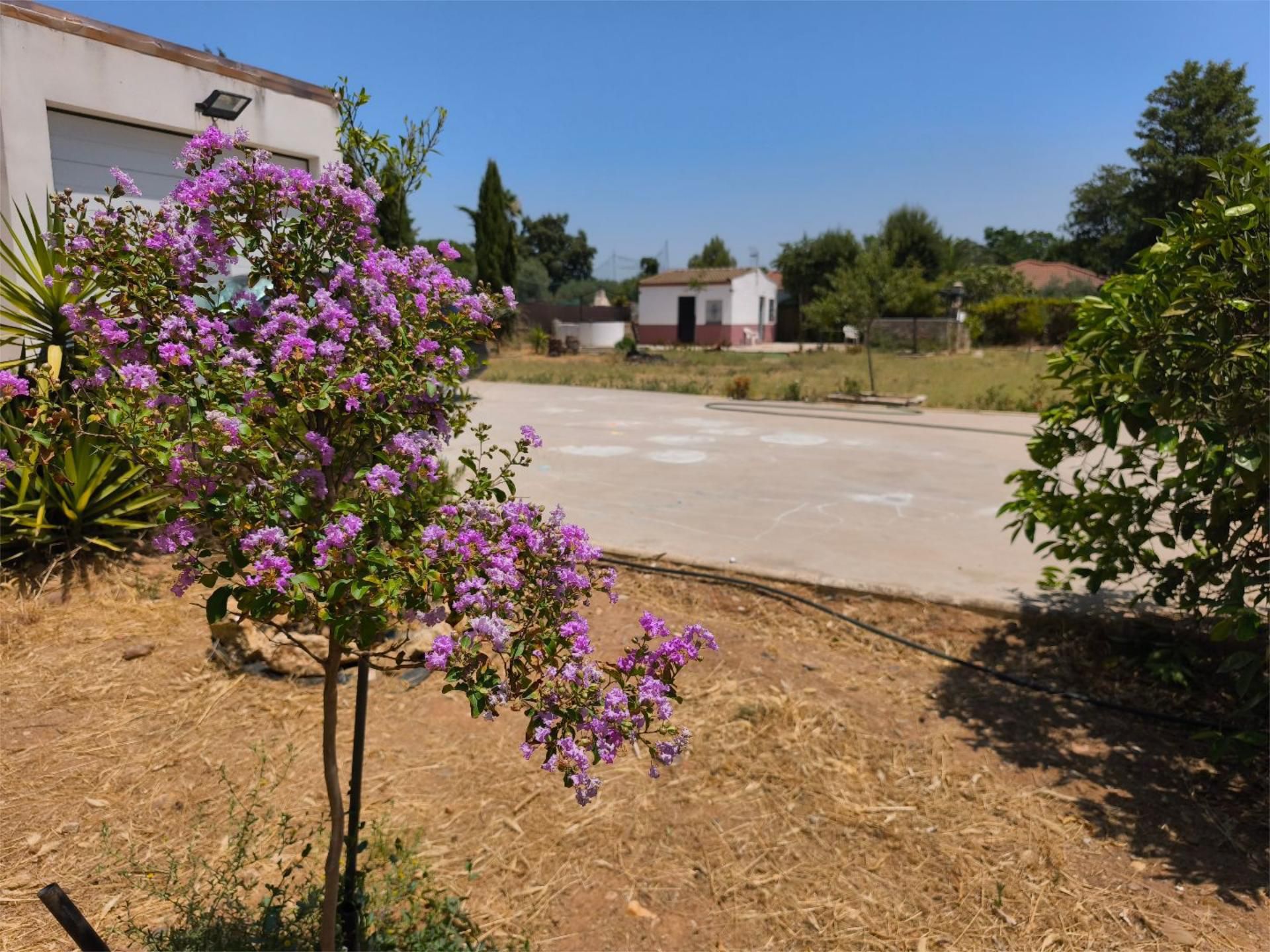 Chalet en  Calle Córdoba 1