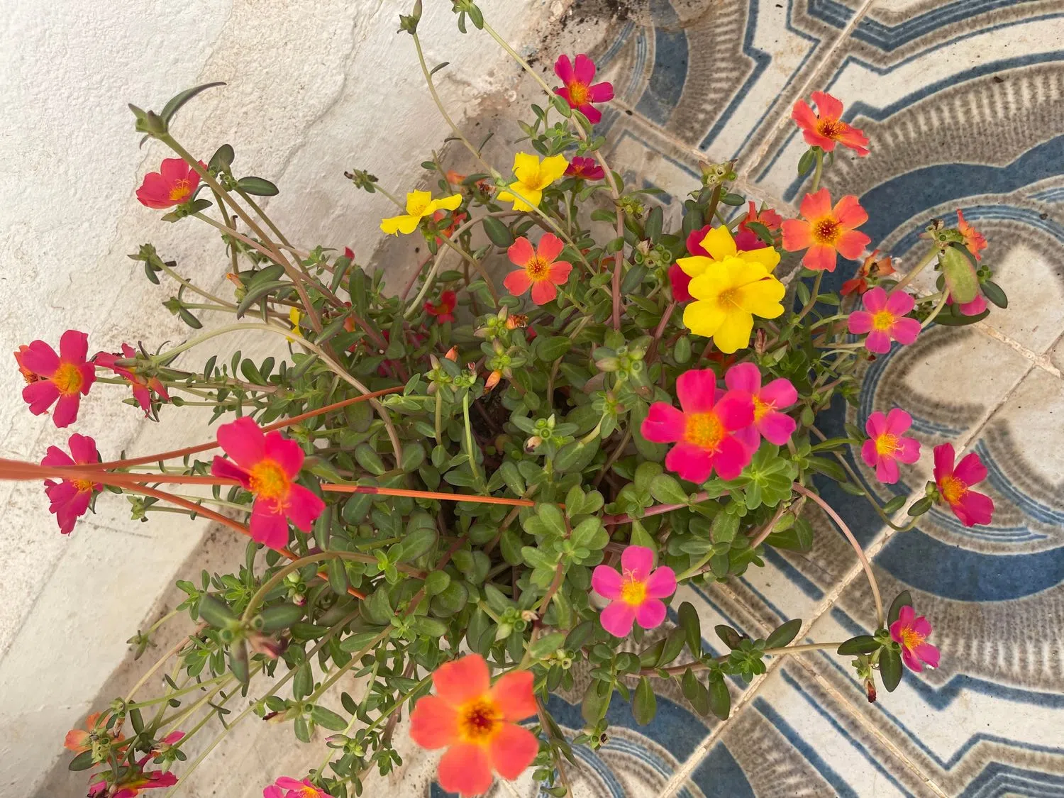 Ático en calle Doctor Buades, 90 - Foto 7