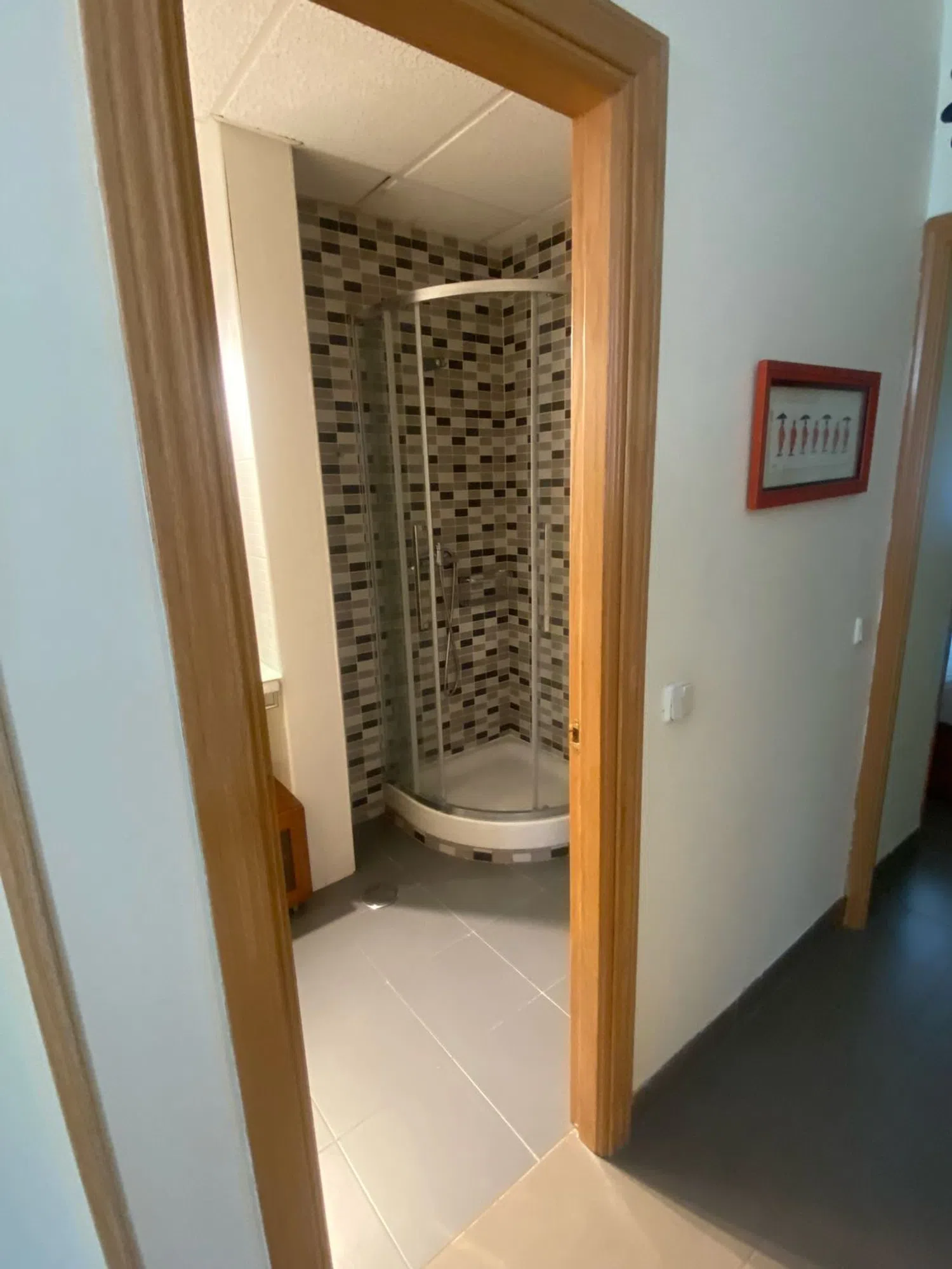 Piso en calle Pico de los Artilleros, 146 - Foto 4
