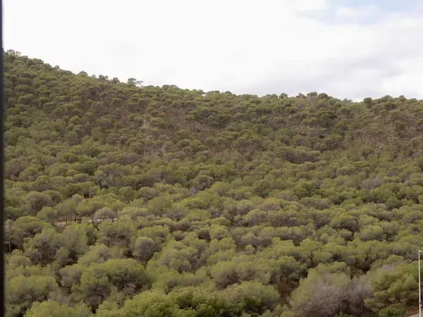 Piso en avenida Mestral, 5 - Foto 10