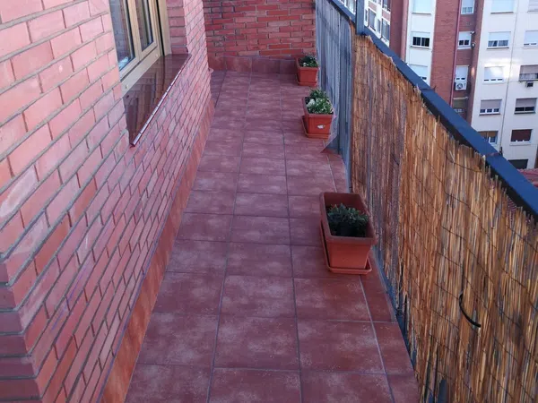 Ático en Calle de José Pellicer, 35, San José - Foto 33