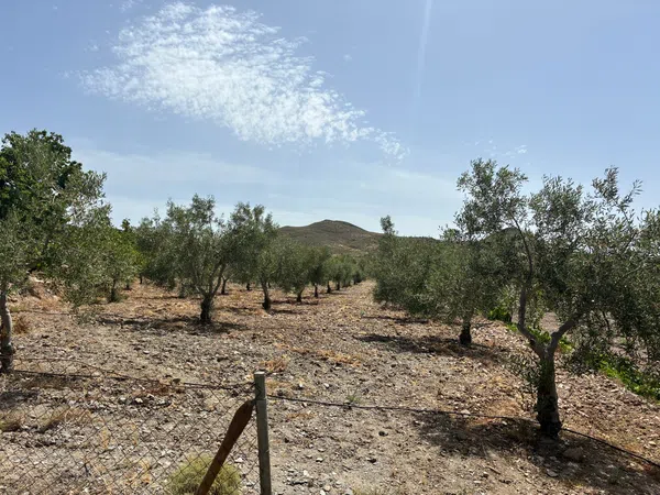 Cortijo en Cortijo en A-1178 s/n - Foto 15