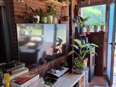 Planta baja en  Calle Camarreal-Ojaiz 113 - Foto 7