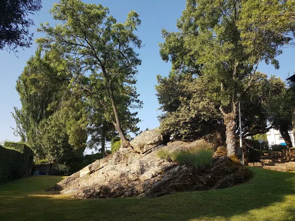 Dúplex en avenida Felipe II, 2 - Foto 39