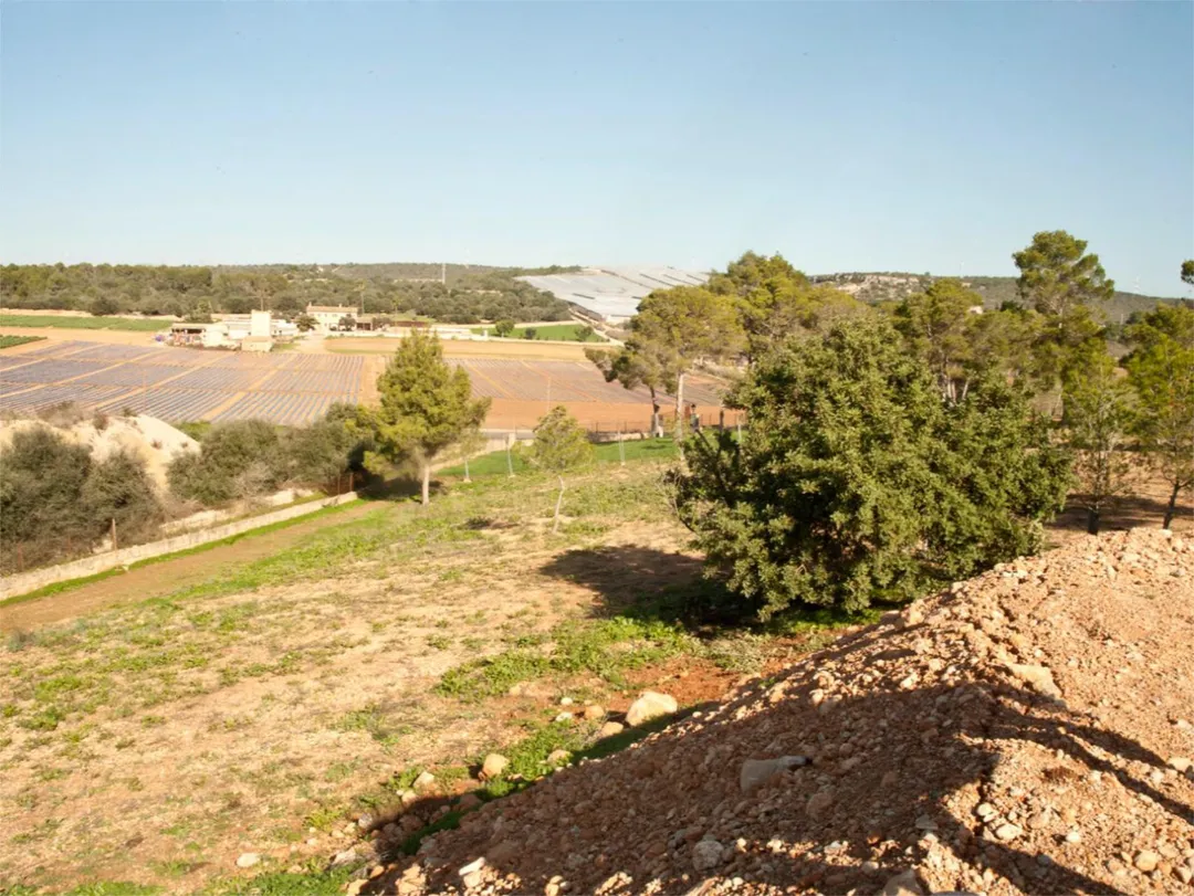 Finca rústica en  Diseminado 8725- Sa Casa Blanca 363 - Foto 6