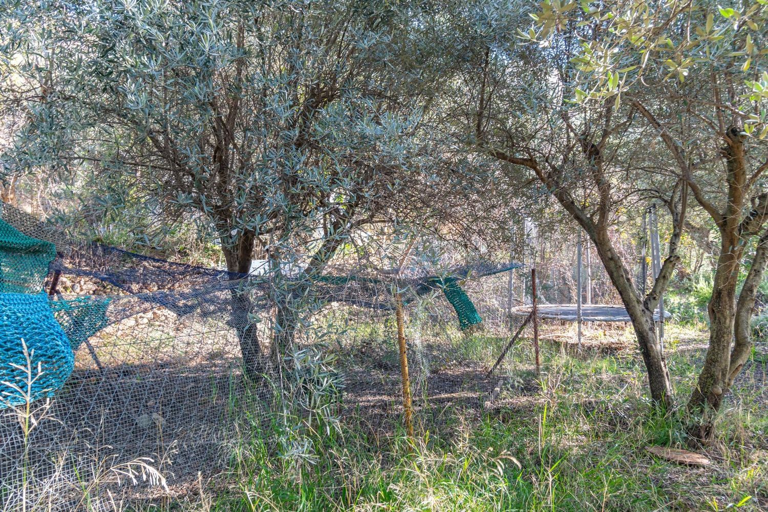 Cortijo en Solana s/n - Foto 33
