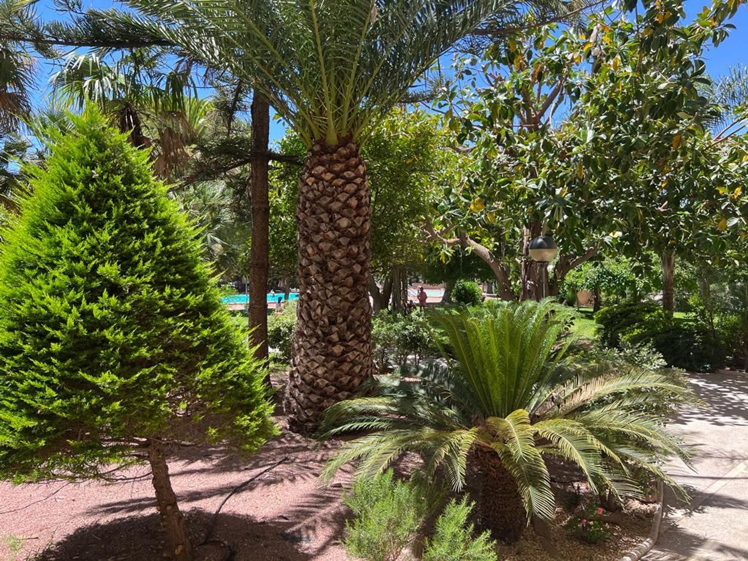 Estudio en Calle Trident, 12, Cabo de las Huertas - Foto 19