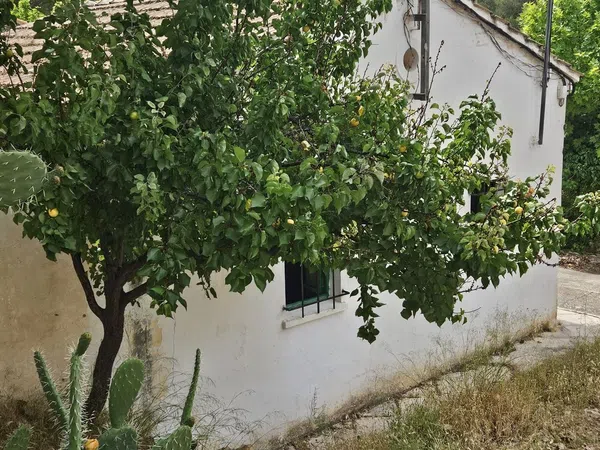 Casa o chalet independiente en Barrio Pantano Contreras, 11 a - Foto 6