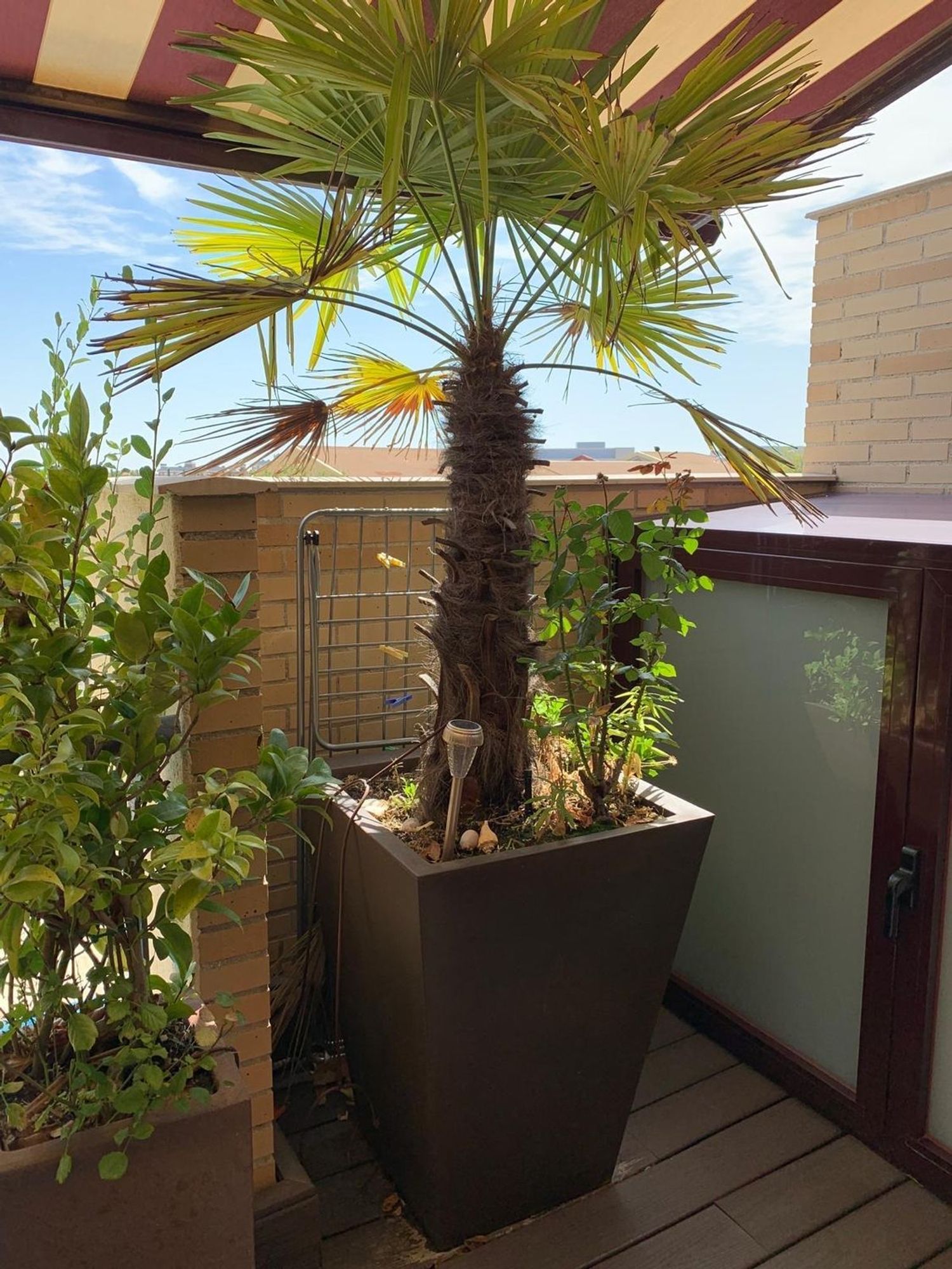 Dúplex en calle Francisco Tomás y Valiente, 5 - Foto 17