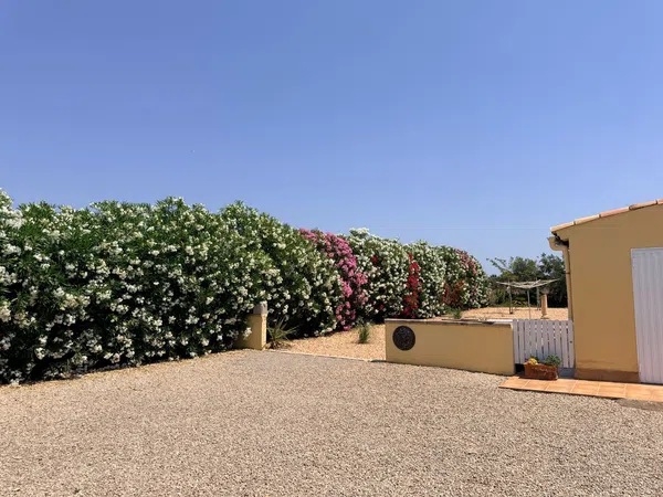 Finca rústica en Poligono 43, Parcela, 361, Llucmajor Interior, Llucmajor Interior - Foto 14