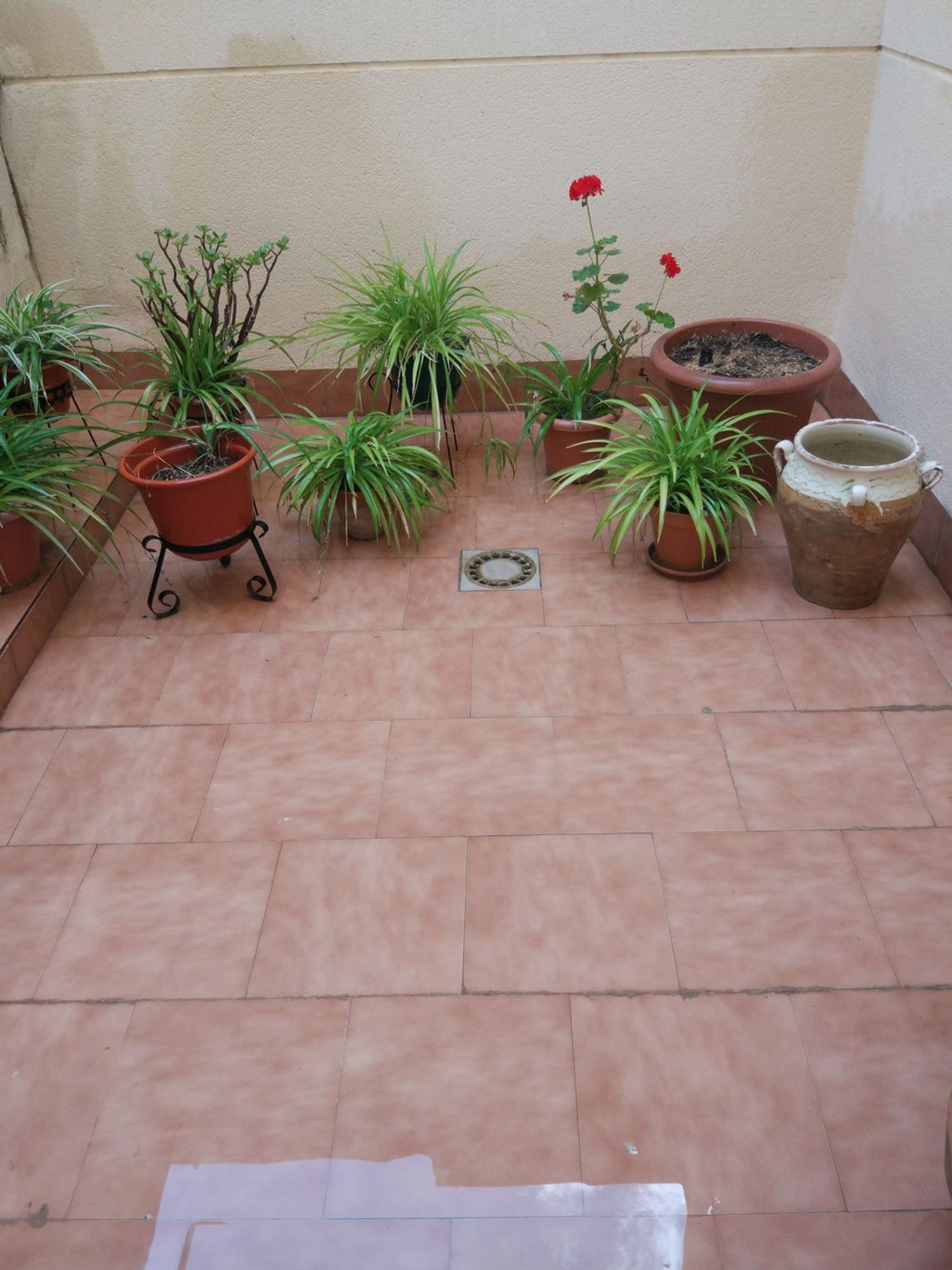 Piso en Calle Cervantes s/n - Foto 22
