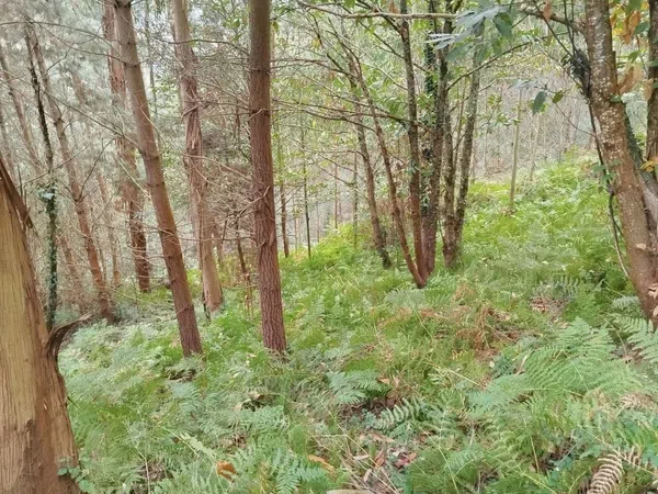 Casa rural en Lugar Vileimil-Pq Vilaboa, 42 D - Foto 24