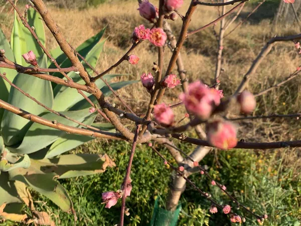 Piso en Lugar la Magdalena, 46, La Magdalena, La Magdalena - Foto 26