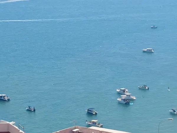 Chalet adosado en calle Azahar, 14 a - Foto 38