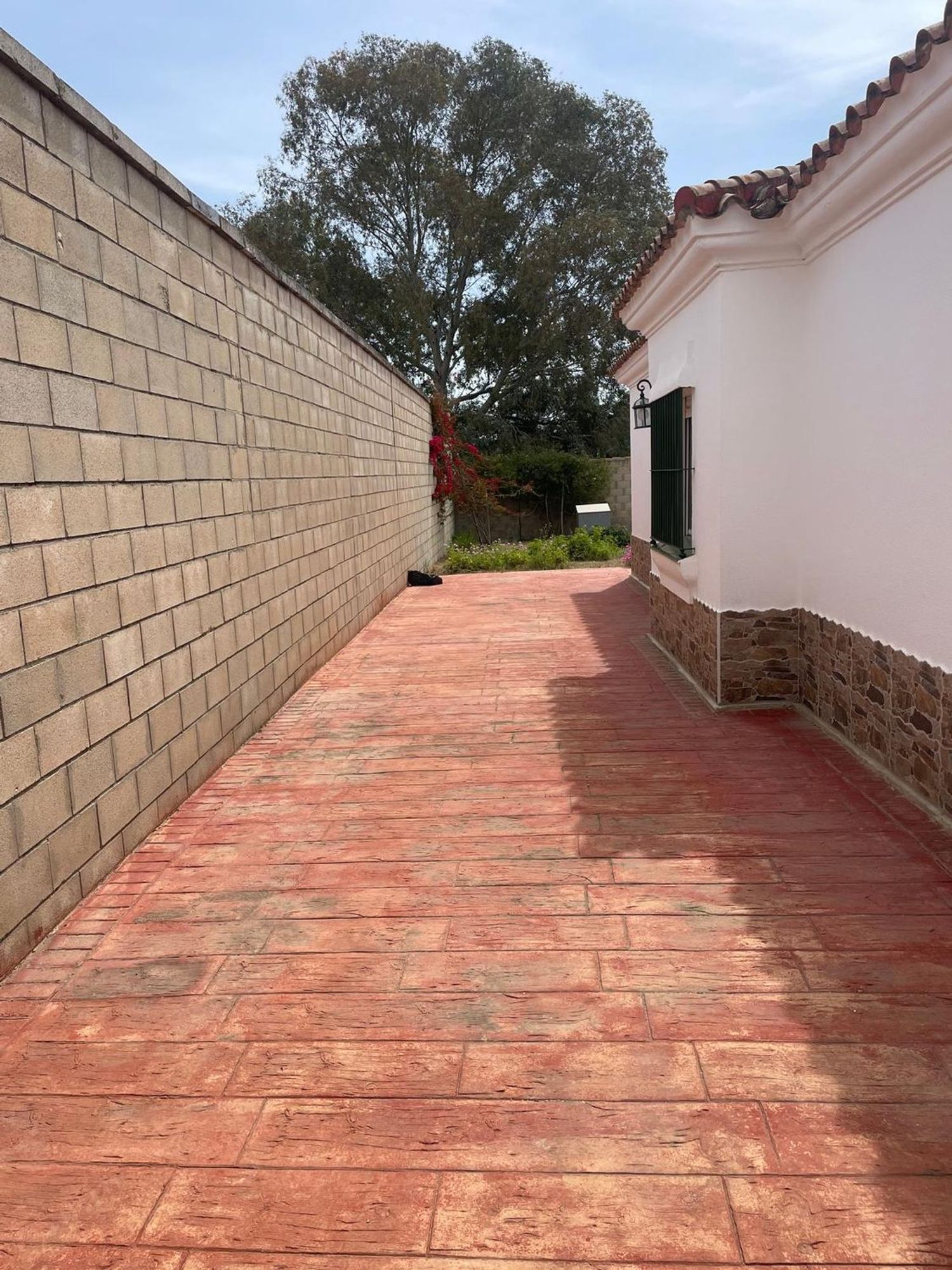 Casa independiente en camino del Pleito, 2 - Foto 11