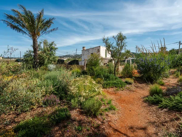 Casa rural en Camino ses Feixes, 46, Marina Botafoc - Talamanca, Marina Botafoc - Talamanca - Foto 35