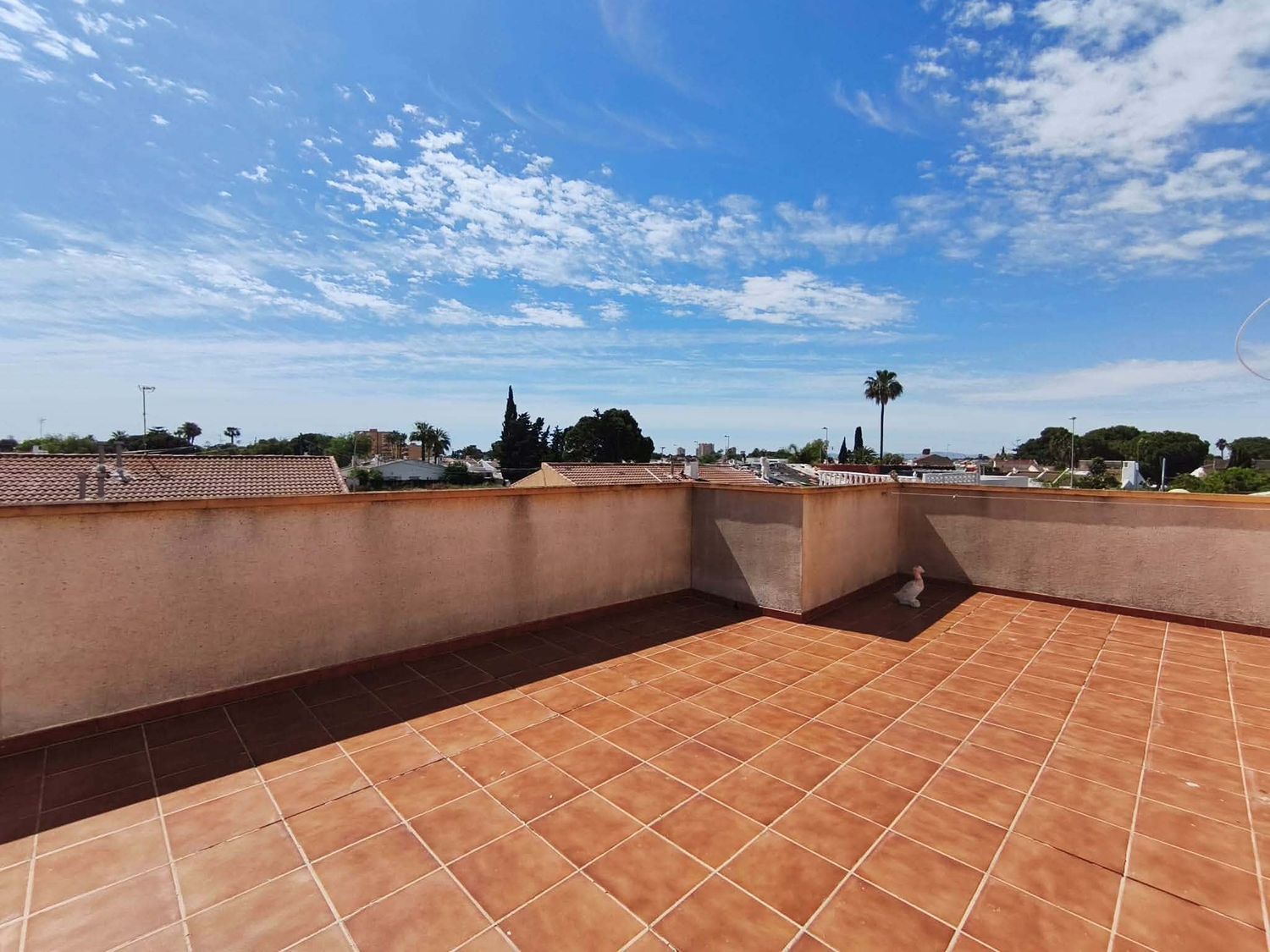 Chalet adosado en Avenida de el Mirador, 24, Santiago de la Ribera, Santiago de la Ribera - Foto 12