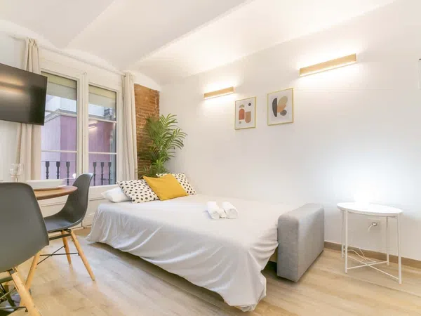 Estudio en Calle de les Carretes, 75, El Raval - Foto 14