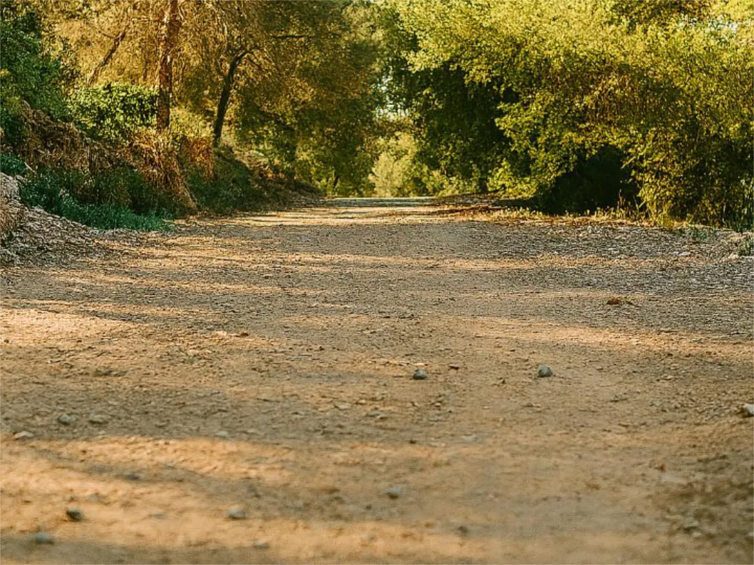 Casa adosada en  Calle Gran Vía 51 - Foto 35