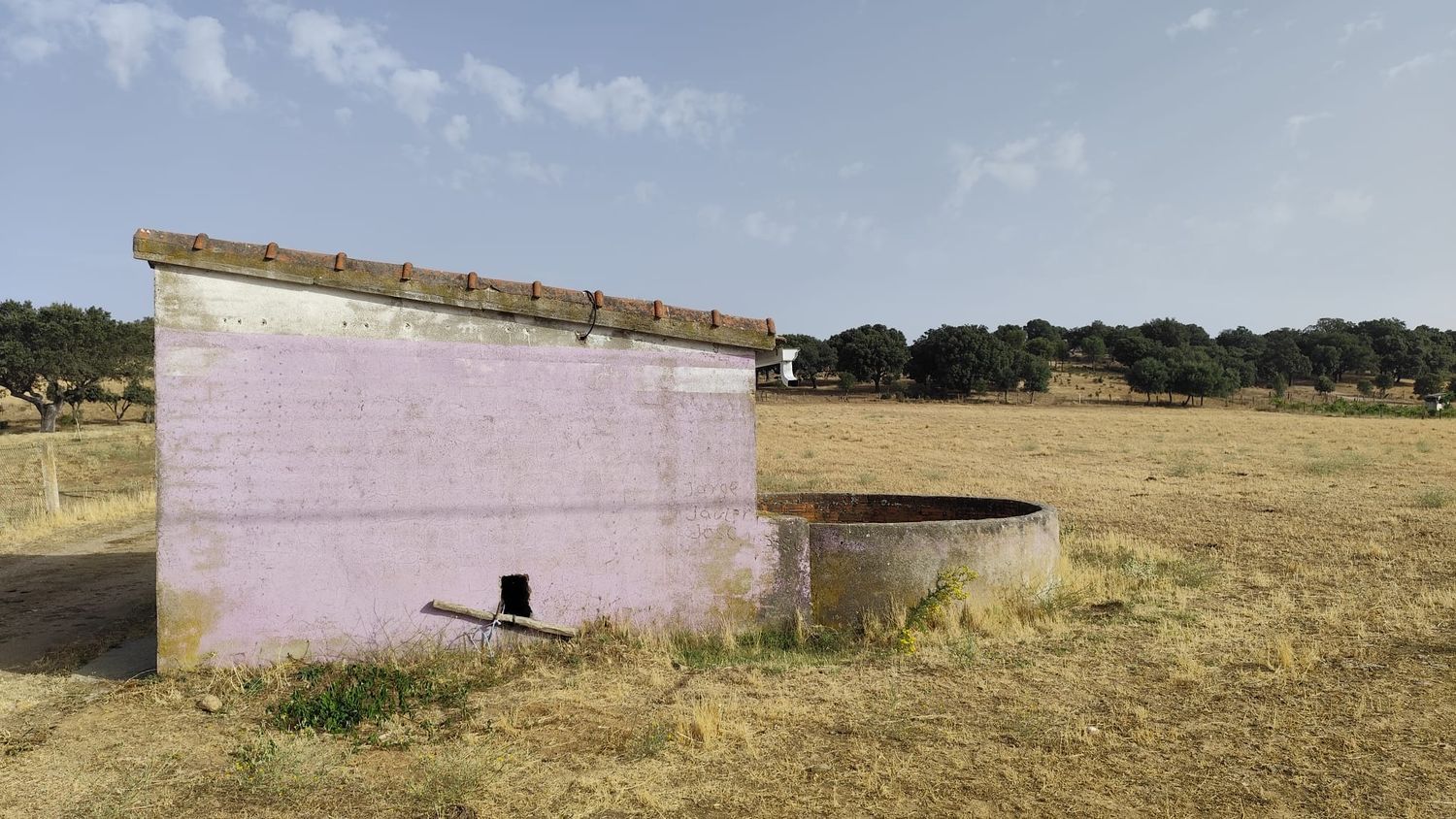 Finca rústica en Avenida de Constitución s/n - Foto 33