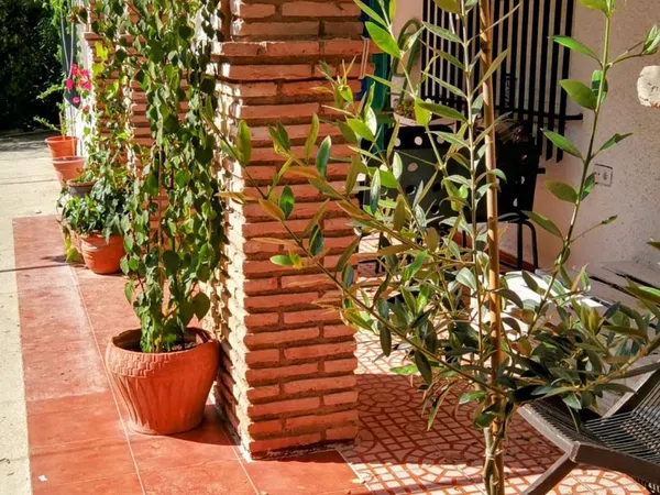 Casa o chalet independiente en Calle cruz del sur, 5, Trassierra - Las Jaras - Foto 24