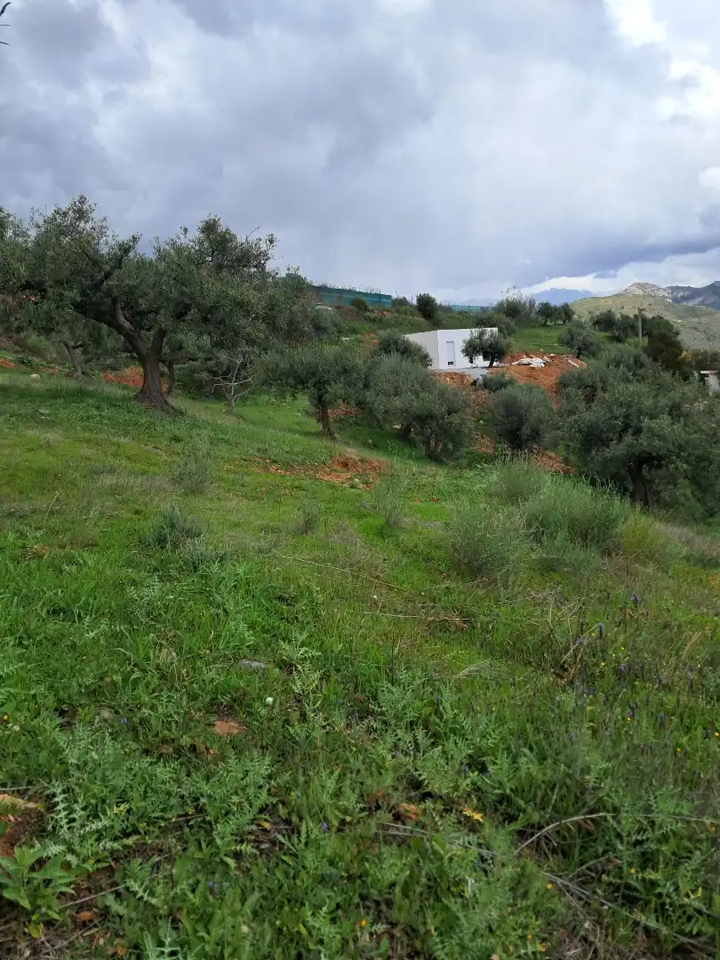 Finca rústica en  Diseminado el Cerval Pol 15 34B - Foto 8