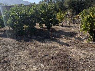Finca rústica en  Placeta de Molina 2 - Foto 4