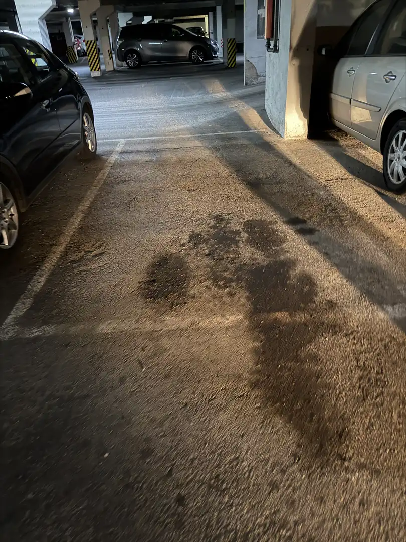 Piso en  Avenida de la Constitución 166 - Foto 4