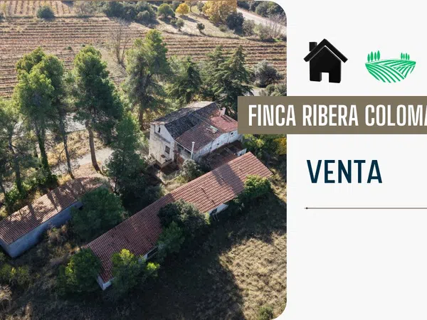 Finca rústica en Camino de Fontanals, 41 AntiguacarreteradeReus - Foto 1