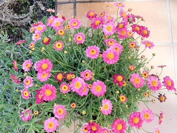 Dúplex en Barrio Lavapiés-Embajadores